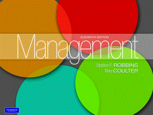 《管理学》（第11版）英文版课件：ppt04