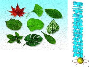 绿色植物对有机物利用