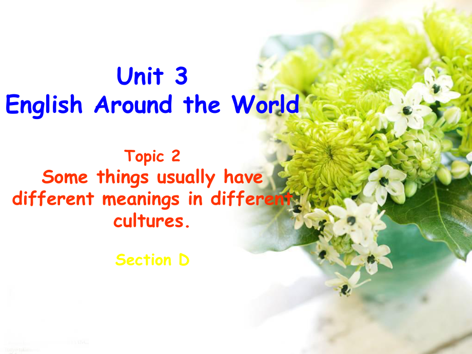 Unit3Topic2SectionD_第1页