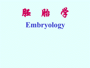 组织学与胚胎学总结