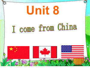 四年级下册Unit8IcomefromChina课件