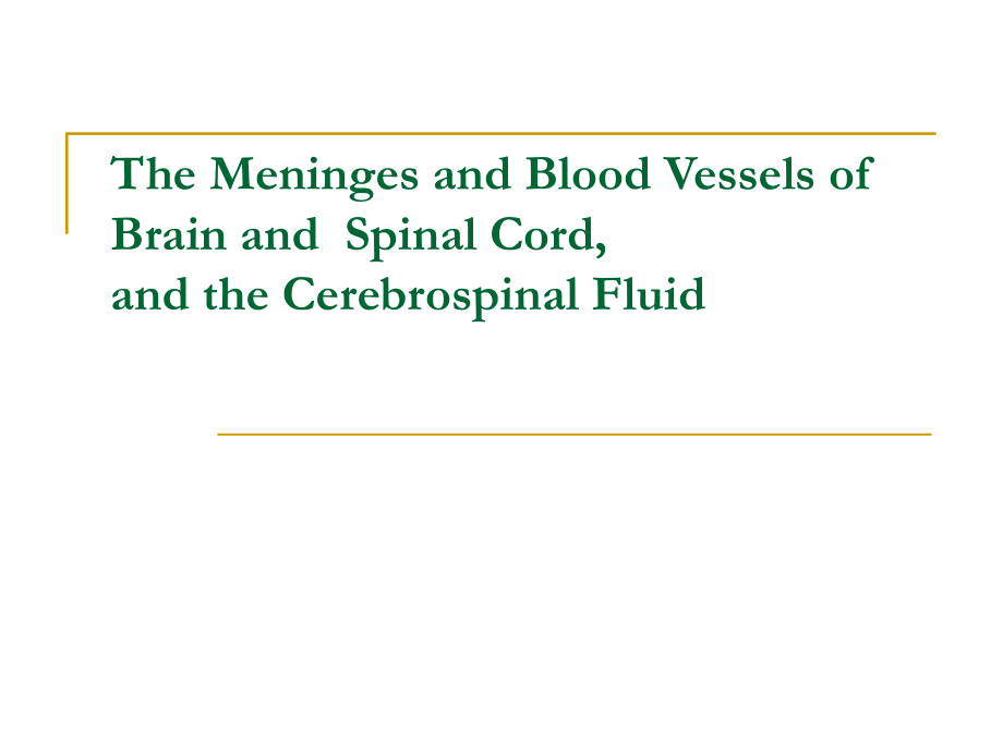 脑膜脑脊液脑血管_第1页