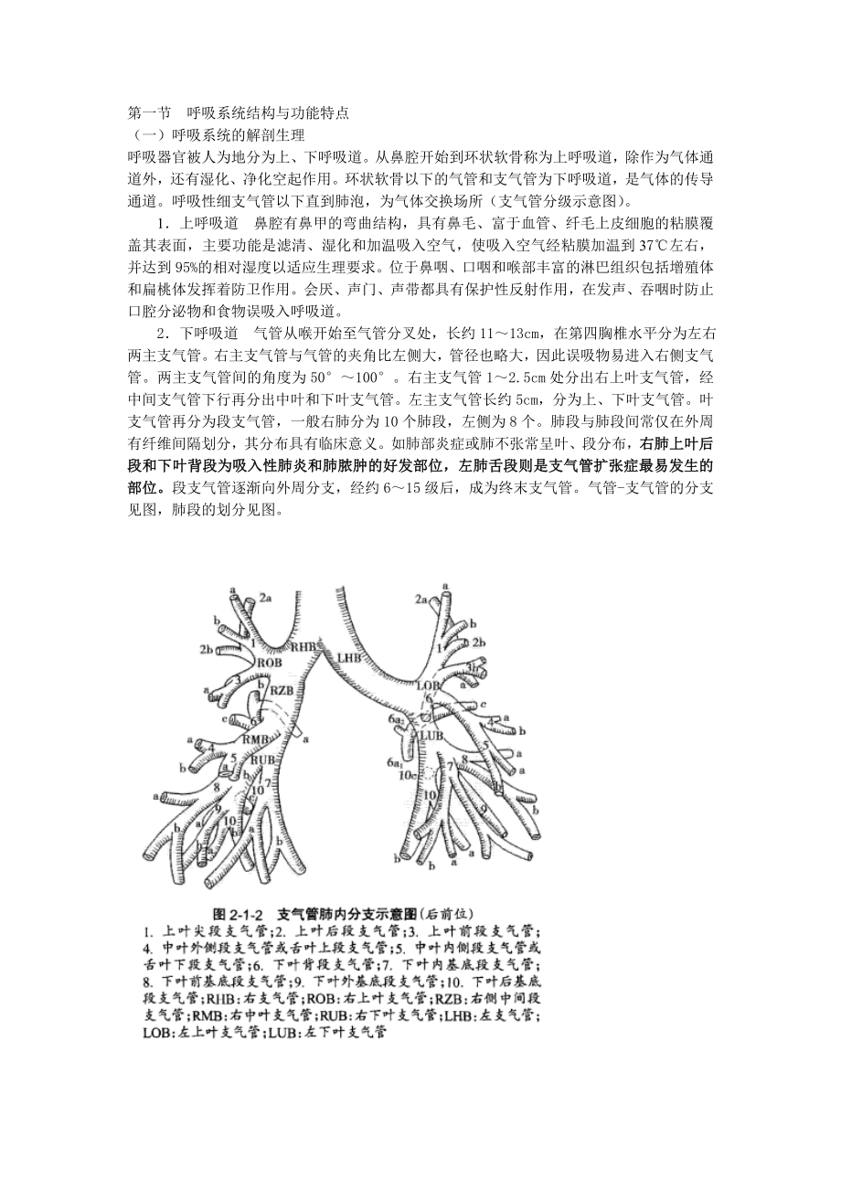 呼吸系统结构与功能特点_第1页