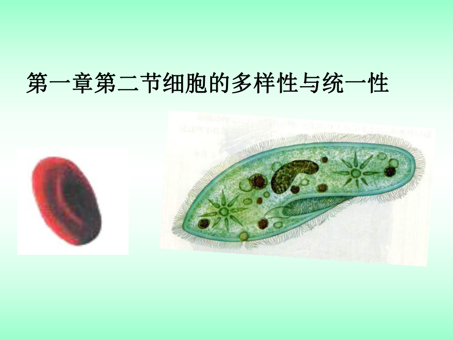 高中生物必修一第一章第二节细胞的多样性和统一性课件2_第1页