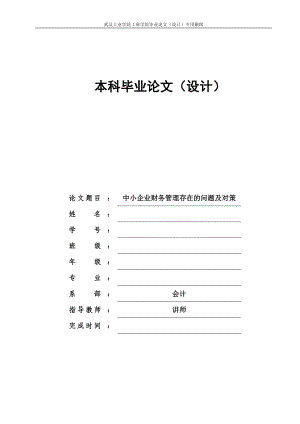 中小企業(yè)財務(wù)管理存在的問題及對策畢業(yè)論文