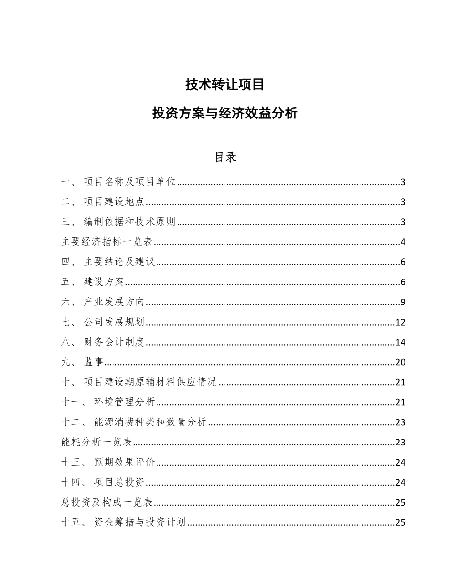 技术转让项目投资方案与经济效益分析_模板范文_第1页