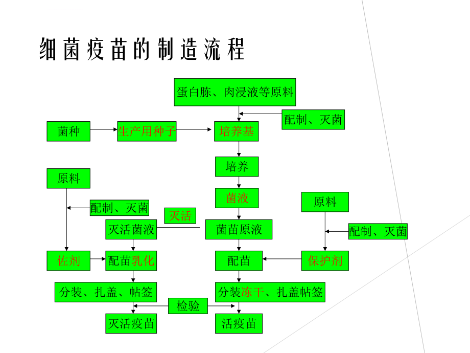 疫苗的制造流程与管理ppt课件_第1页