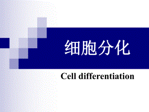 医学细胞与遗传学：细胞分化