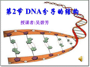 第2节DNA分子的结构