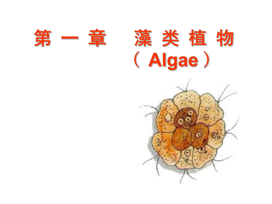 3第一章藻类植物211_第1页