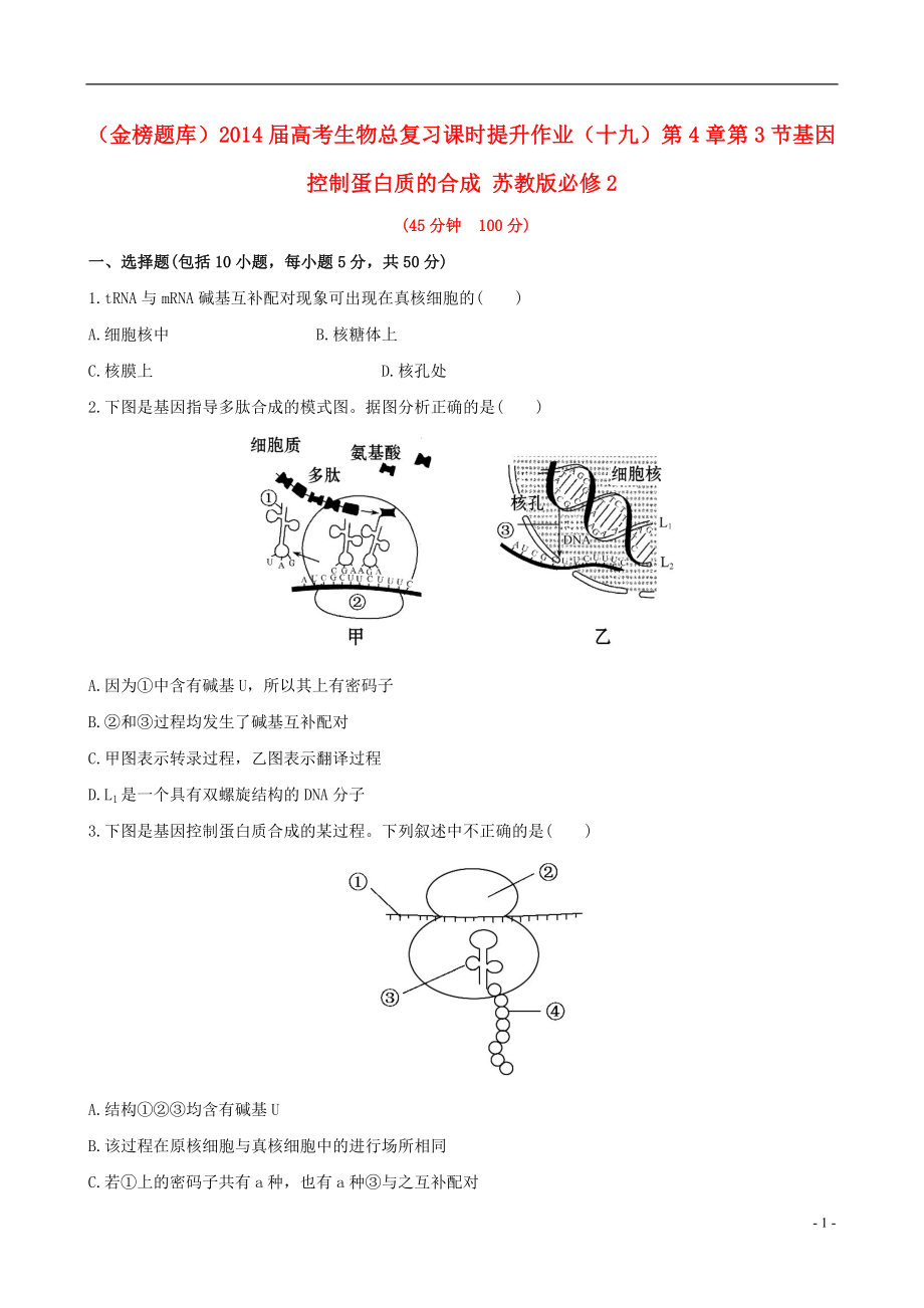 (金榜題庫)高考生物總復(fù)習(xí) 課時提升作業(yè)(十九)第4章 第3節(jié)基因控制蛋白質(zhì)的合成 蘇教版必修2_第1頁