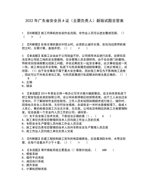 2022年广东省安全员A证（主要负责人）新版试题含答案35