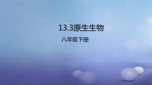 八年级生物下册13.3原生生物课件北京课改版