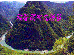 雅鲁藏布大峡谷 (2)