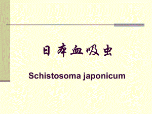 日本血吸虫Schistosomajaponicum000002