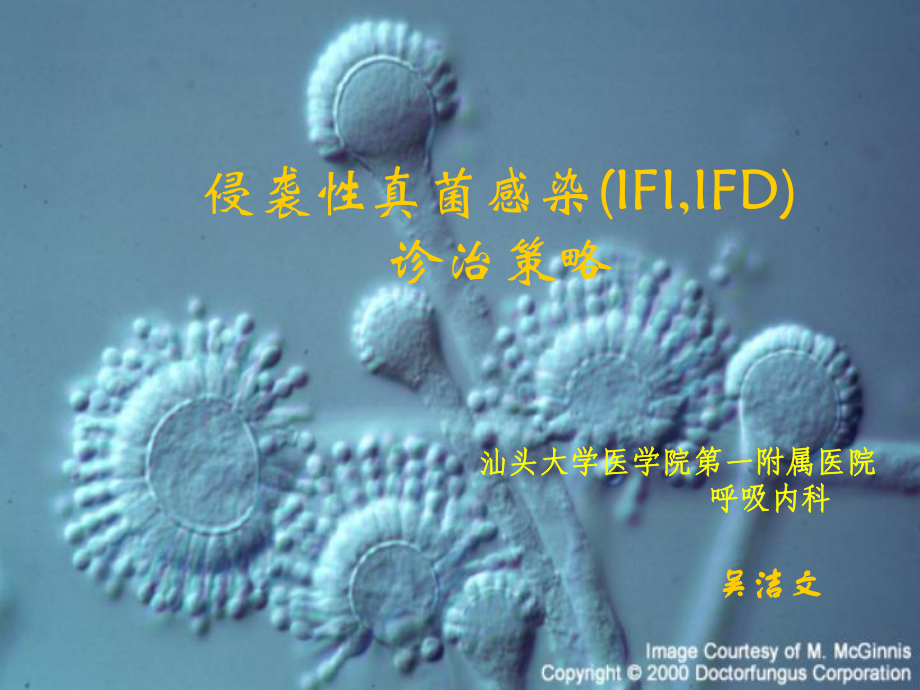 侵袭性真菌感染(ifi,ifd)的诊治策略_第1页