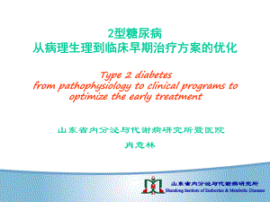 2型糖尿病生理病理到临床早期治疗方案的优化