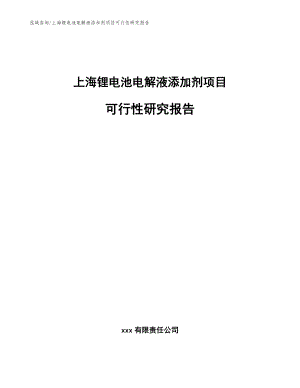 上海锂电池电解液添加剂项目可行性研究报告范文模板