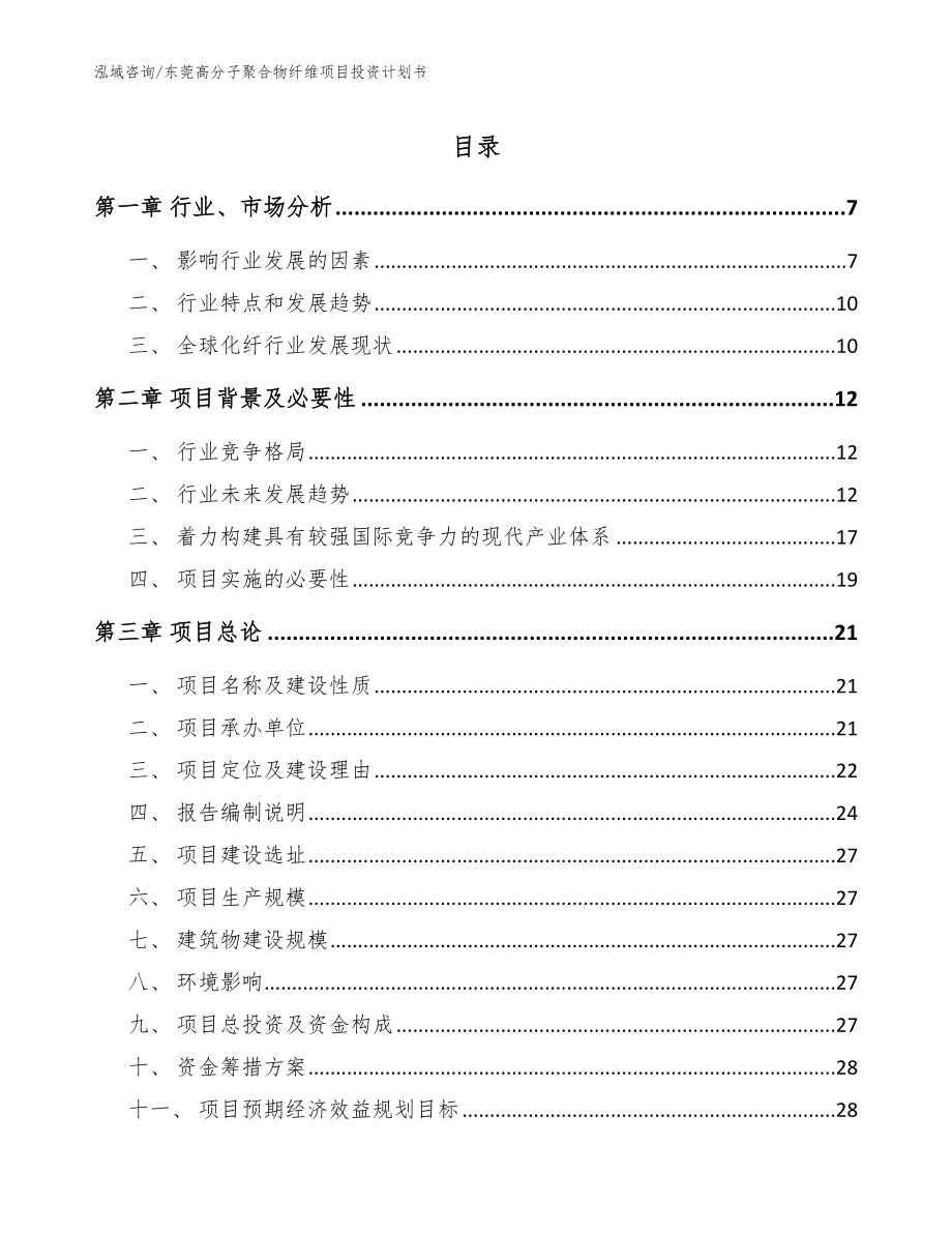 东莞高分子聚合物纤维项目投资计划书【模板范文】_第1页