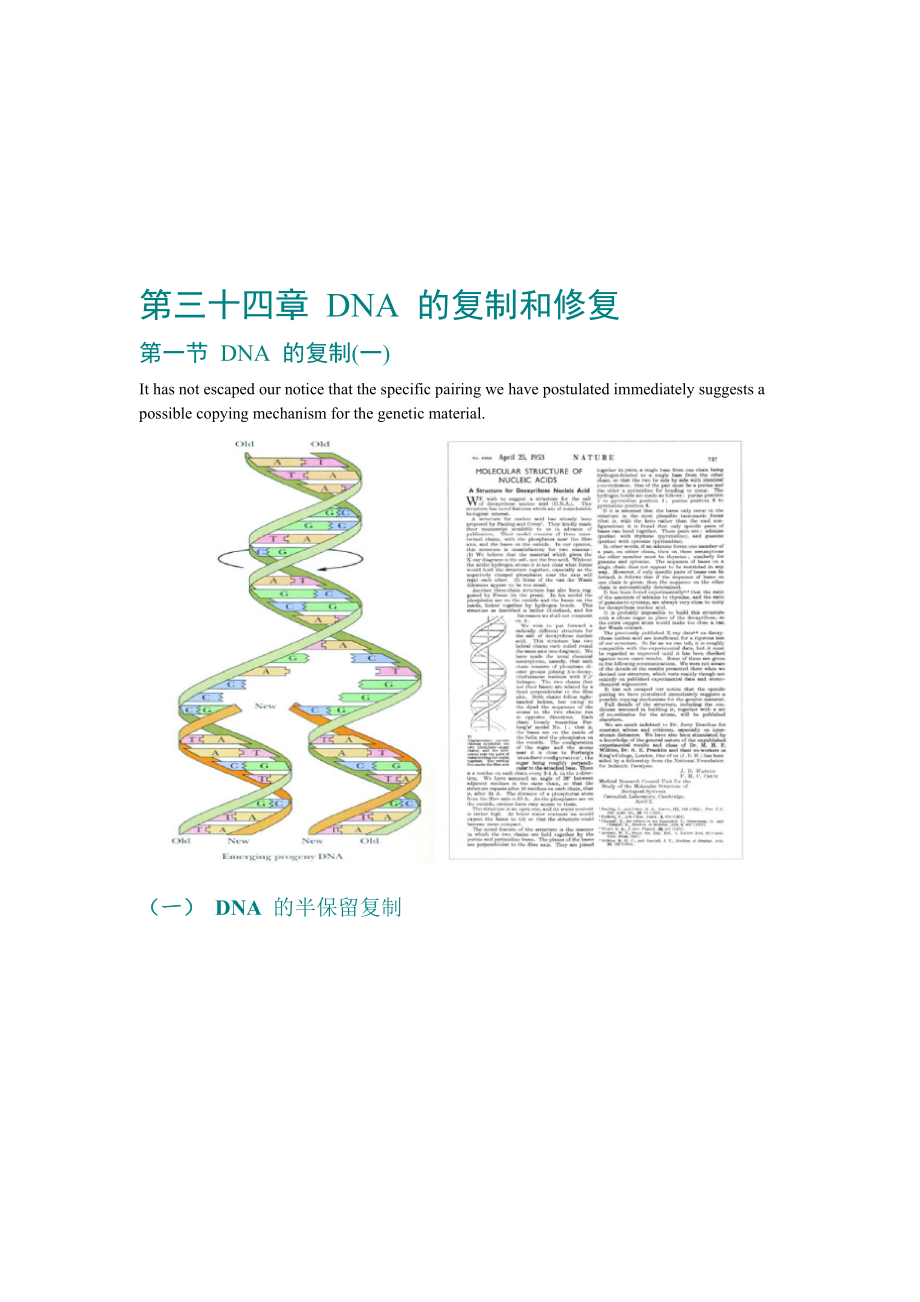 第34章DNA的复制和修复_第1页