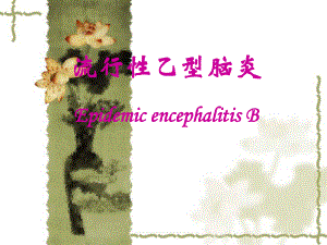 流行乙型脑炎EpidemicencephalitisBP