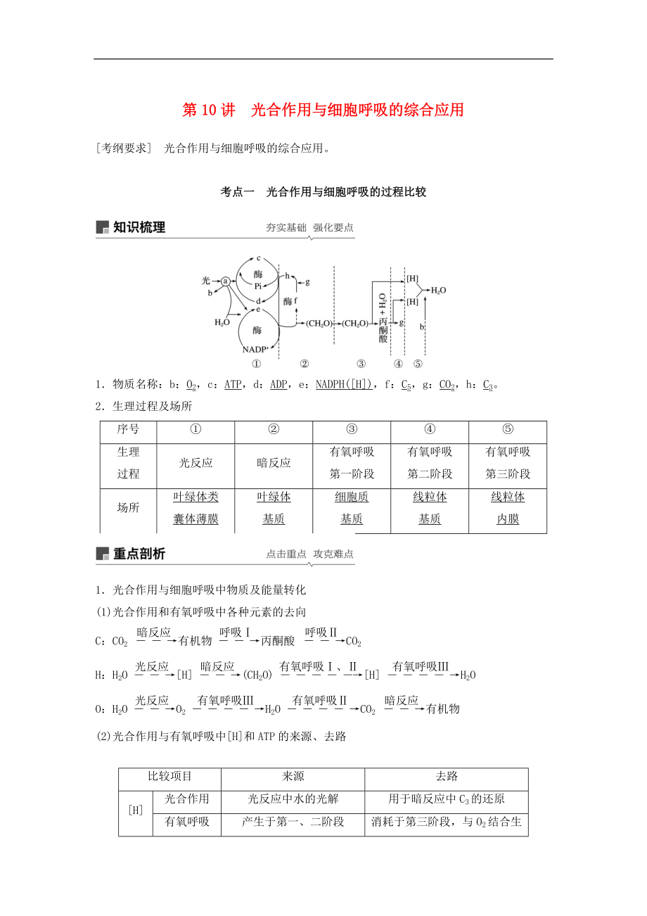 高考生物大一輪復(fù)習(xí)學(xué)案： 第三單元 細(xì)胞的能量供應(yīng)和利用 第10講 光合作用與細(xì)胞呼吸的綜合應(yīng)用學(xué)案_第1頁