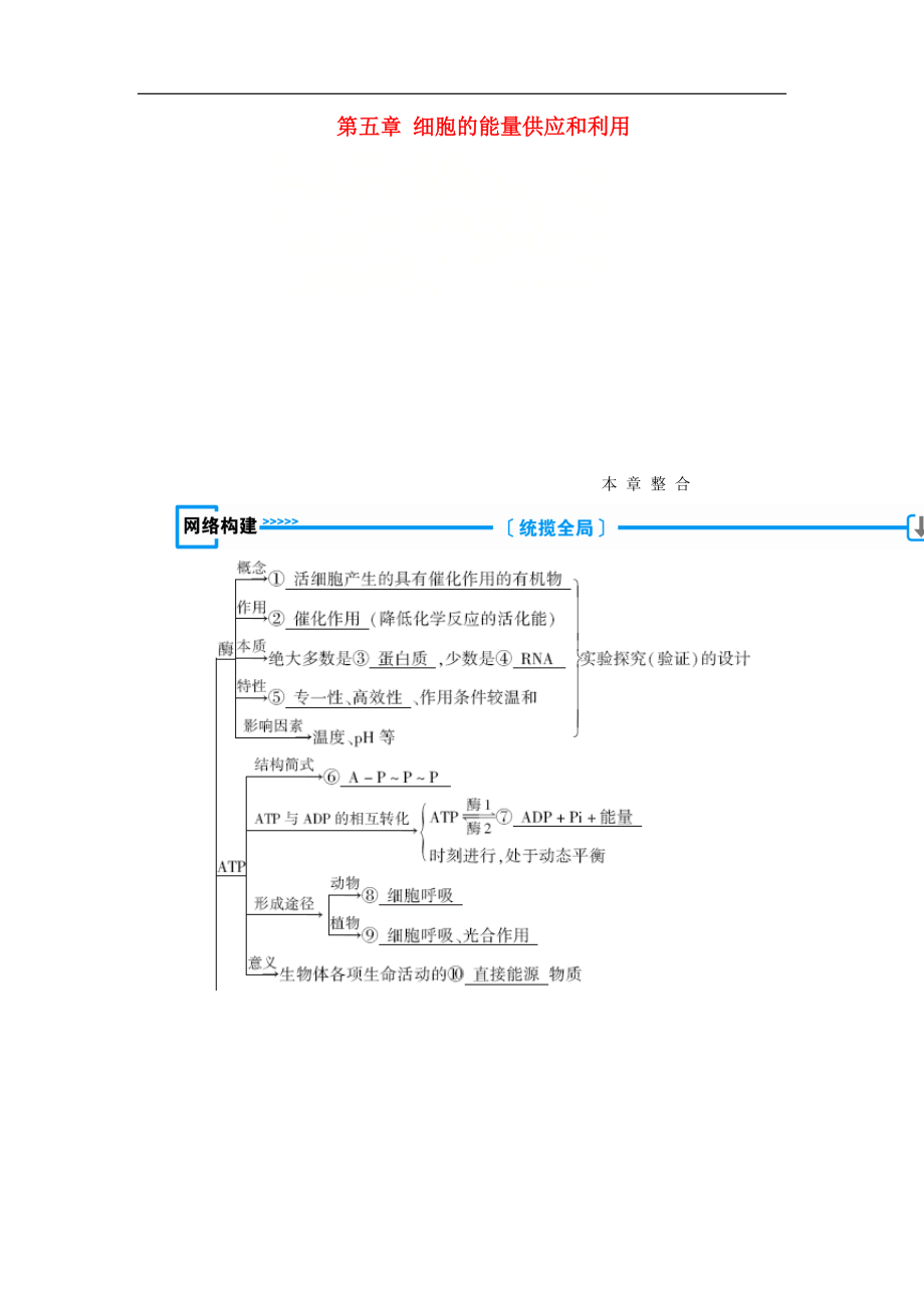 高中生物必修1学案： 第五章 细胞的能量供应和利用本章整合学案 新人教版必修1_第1页