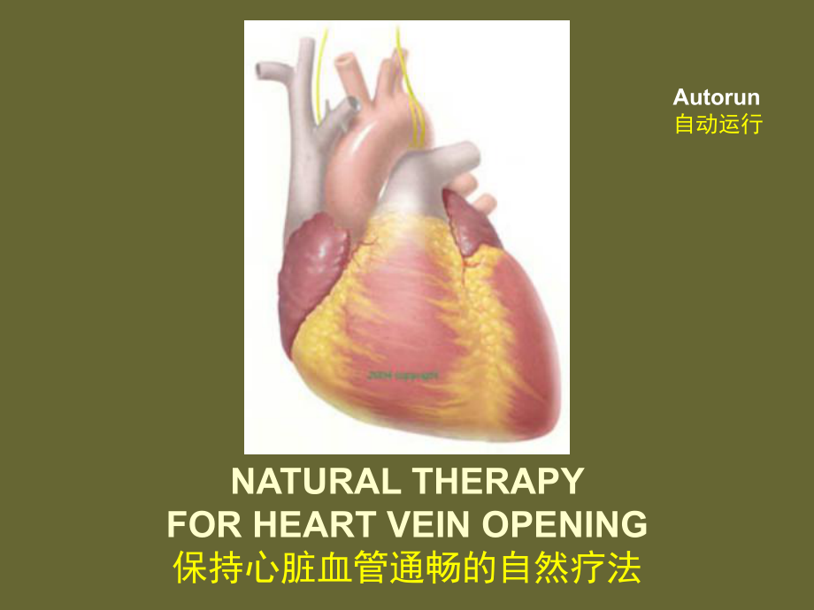 保持心脏血管通畅的自然疗法_第1页