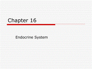 chapter16内分泌系统