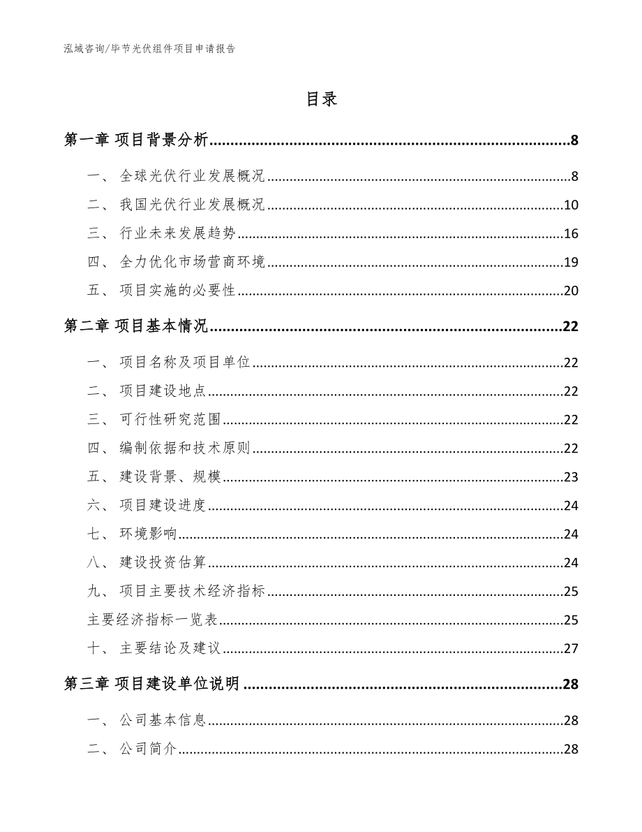 毕节光伏组件项目申请报告_第1页