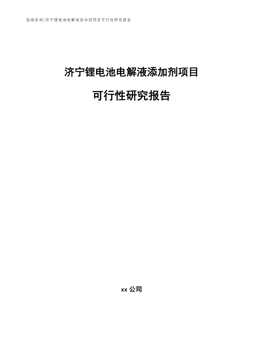 济宁锂电池电解液添加剂项目可行性研究报告_第1页