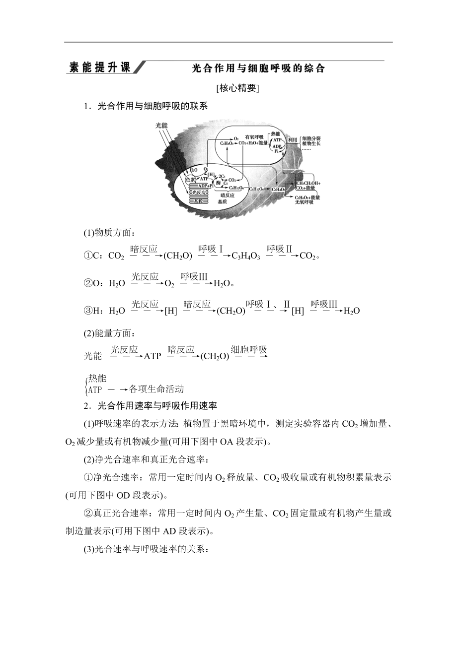 人教版生物必修一讲义：第5章 素能提升课　光合作用与细胞呼吸的综合 Word版含答案_第1页