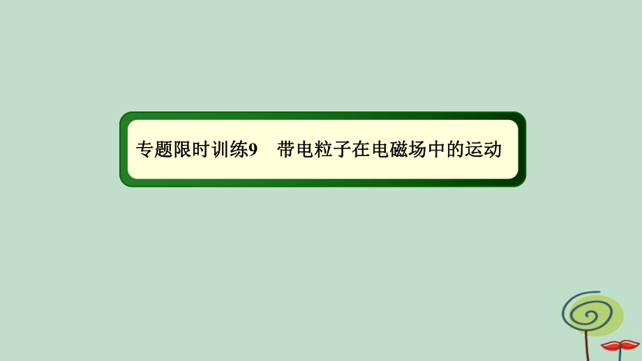 高考物理二轮复习专题限时训练9带电粒子在电磁场中的运动课件_第1页