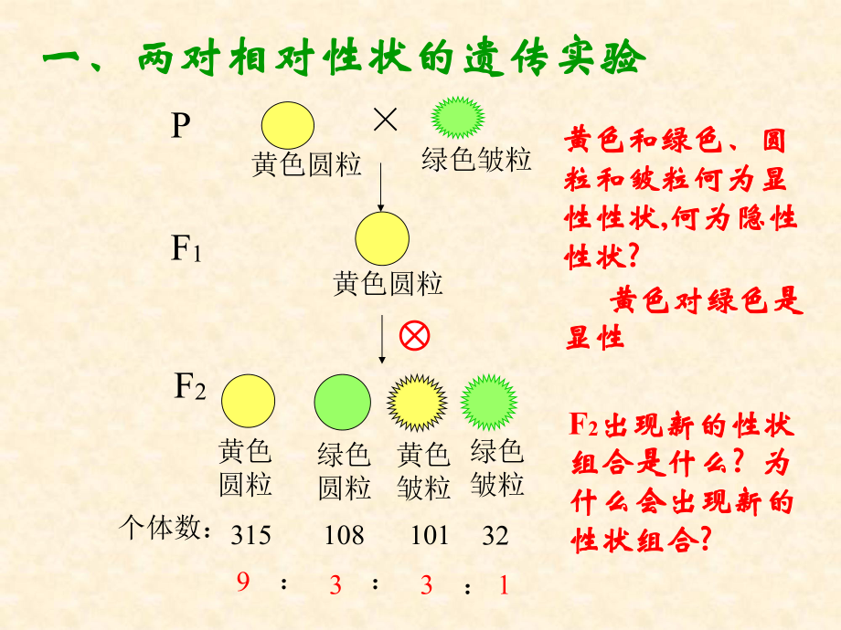 1.2孟德尔的豌豆杂交实验课件9_第1页