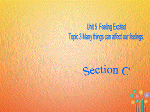 广东省清远市佛冈县龙山镇八年级英语下册 Unit 5 Feeling excited Topic 3 Many things can affect our feelings Section C课件 （新版）仁爱版