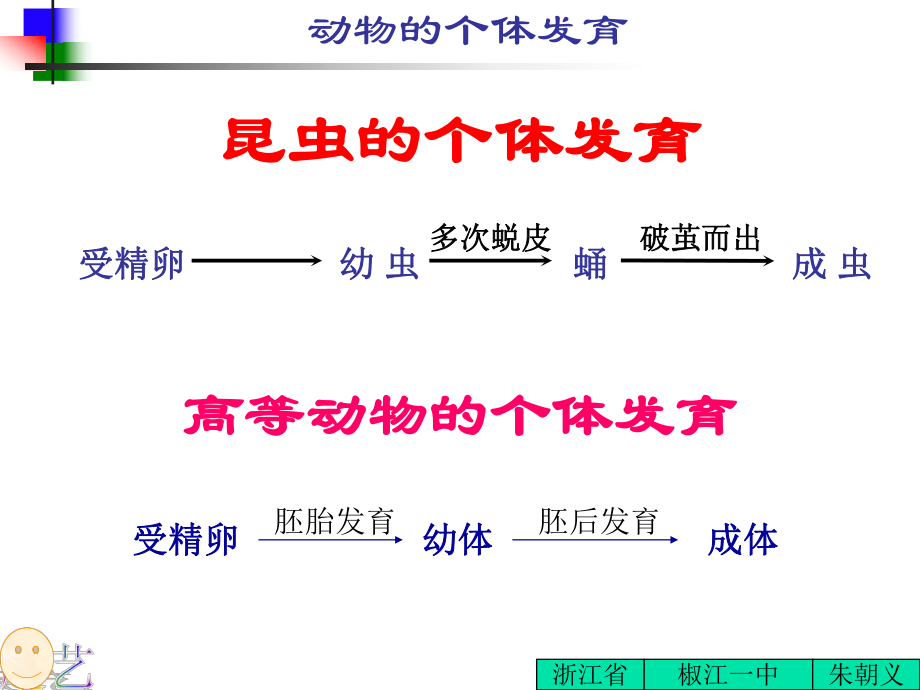 动物个体发育_第1页