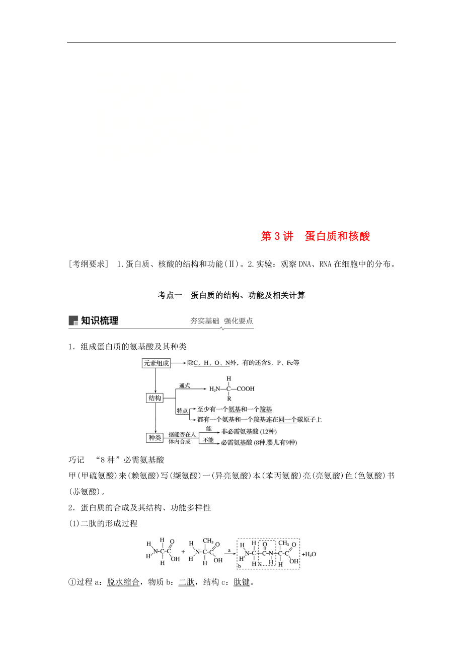 高考生物大一輪復習學案： 第一單元 細胞的概述及其分子組成 第3講 蛋白質(zhì)和核酸學案_第1頁