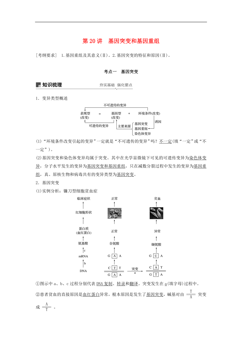 高考生物大一輪復(fù)習(xí)學(xué)案： 第七單元 生物的變異、育種和進(jìn)化 第20講 基因突變和基因重組學(xué)案_第1頁