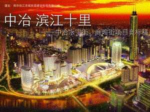 年南京中冶永宁街商埠街项目竞标稿页