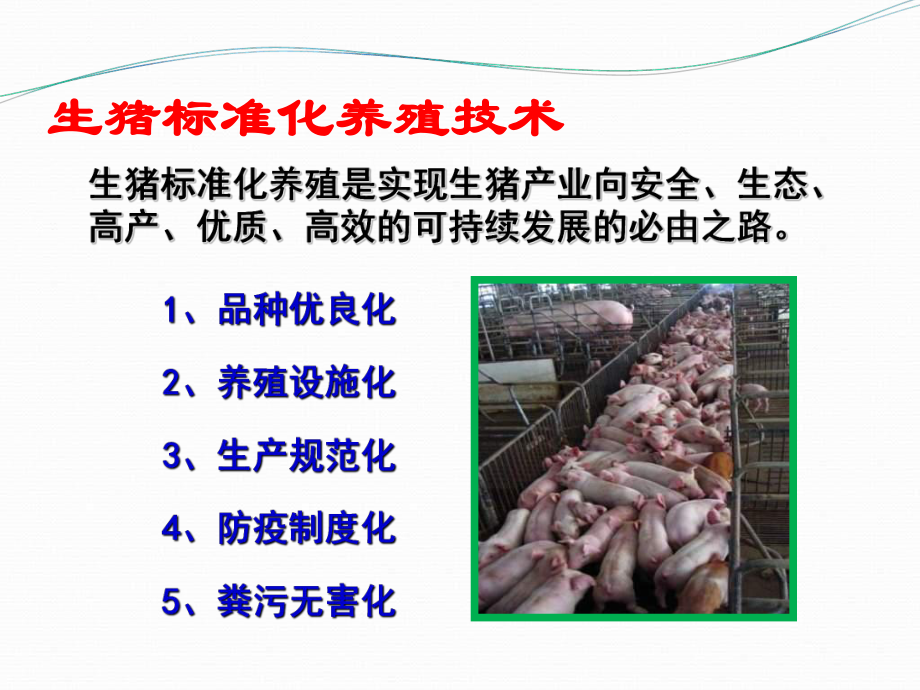 生猪标准化养殖技术ppt课件_第1页