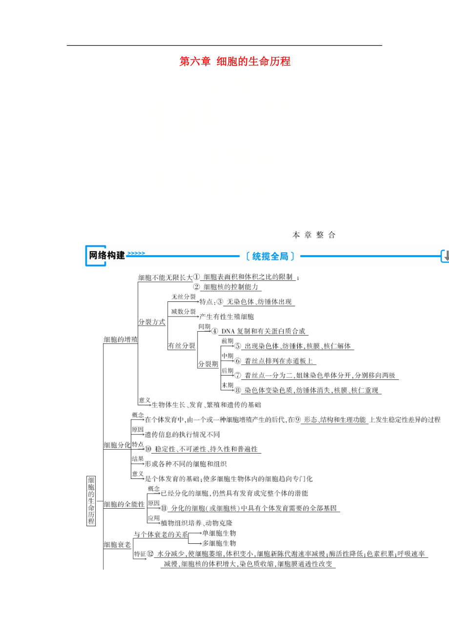 高中生物必修1学案： 第六章 细胞的生命历程本章整合学案 新人教版必修1_第1页