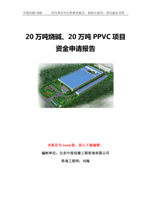 20万吨烧碱、20万吨PPVC项目资金申请报告模板-立项申报