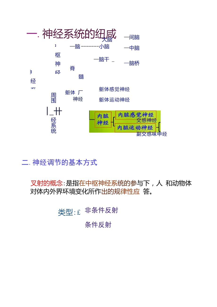 高中生物《第二章第一節(jié)通過(guò)神經(jīng)系統(tǒng)的調(diào)節(jié)》課件3._第1頁(yè)