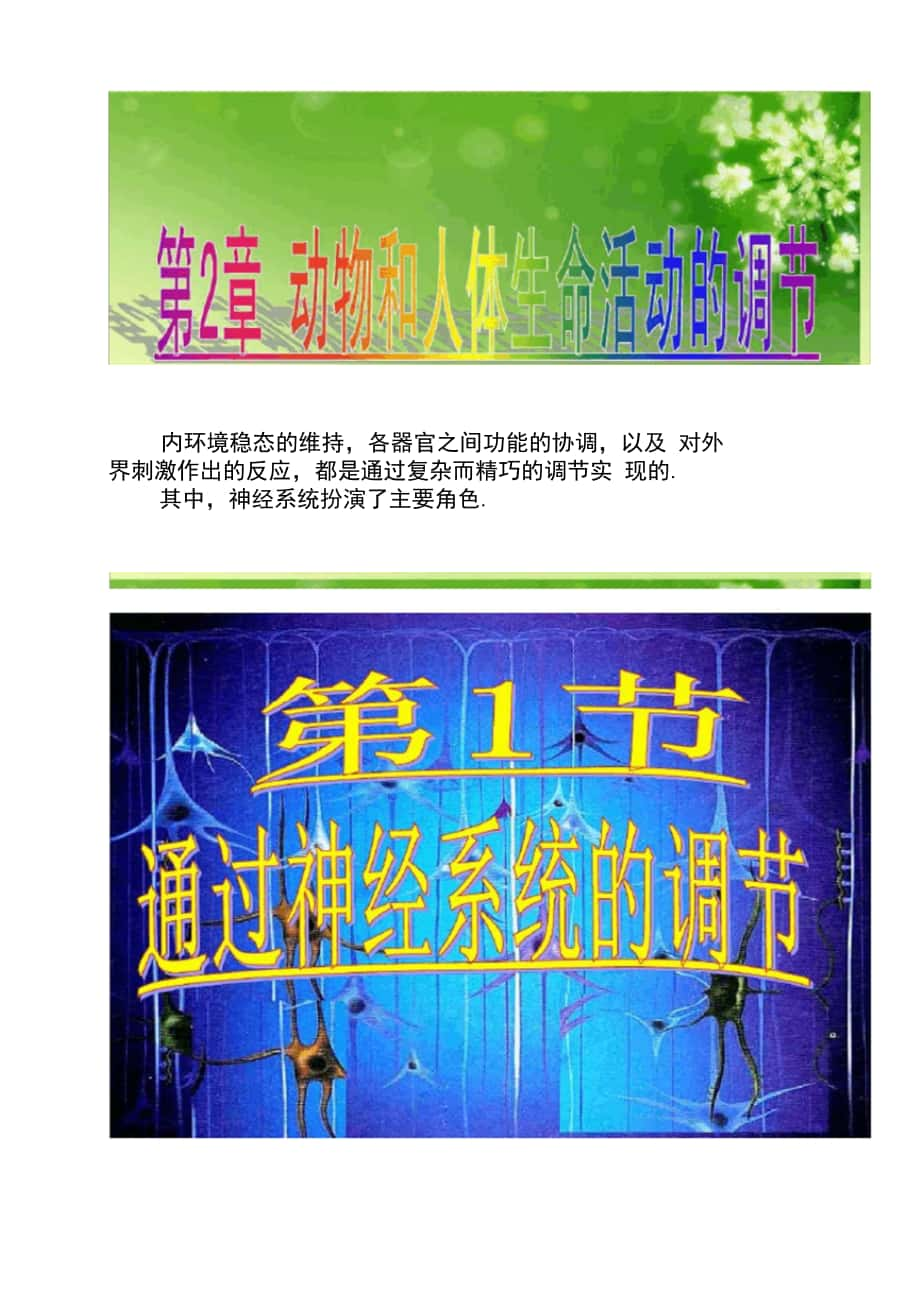 高中生物《第二章第一節(jié)通過神經(jīng)系統(tǒng)的調(diào)節(jié)》課件5._第1頁