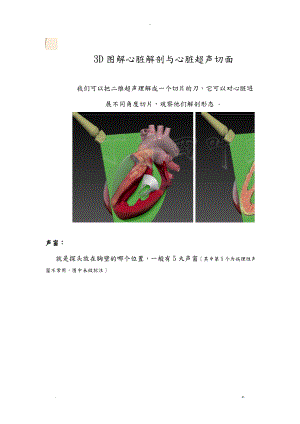 3D图解心脏解剖与心脏超声切面