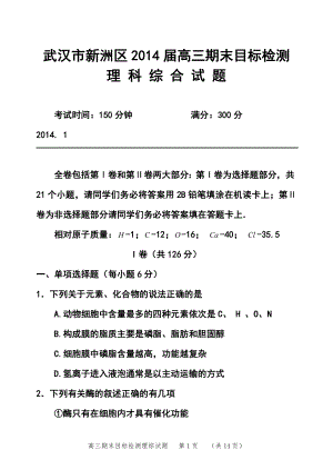 湖北省武汉市新洲区高三上学期期末目标检测理科综合试题及答案