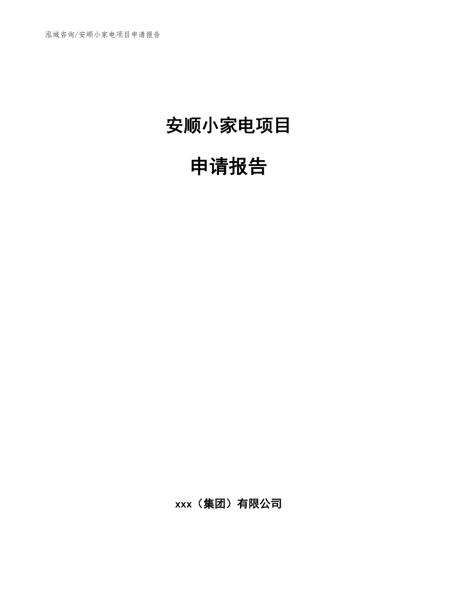 安顺小家电项目申请报告范文_第1页