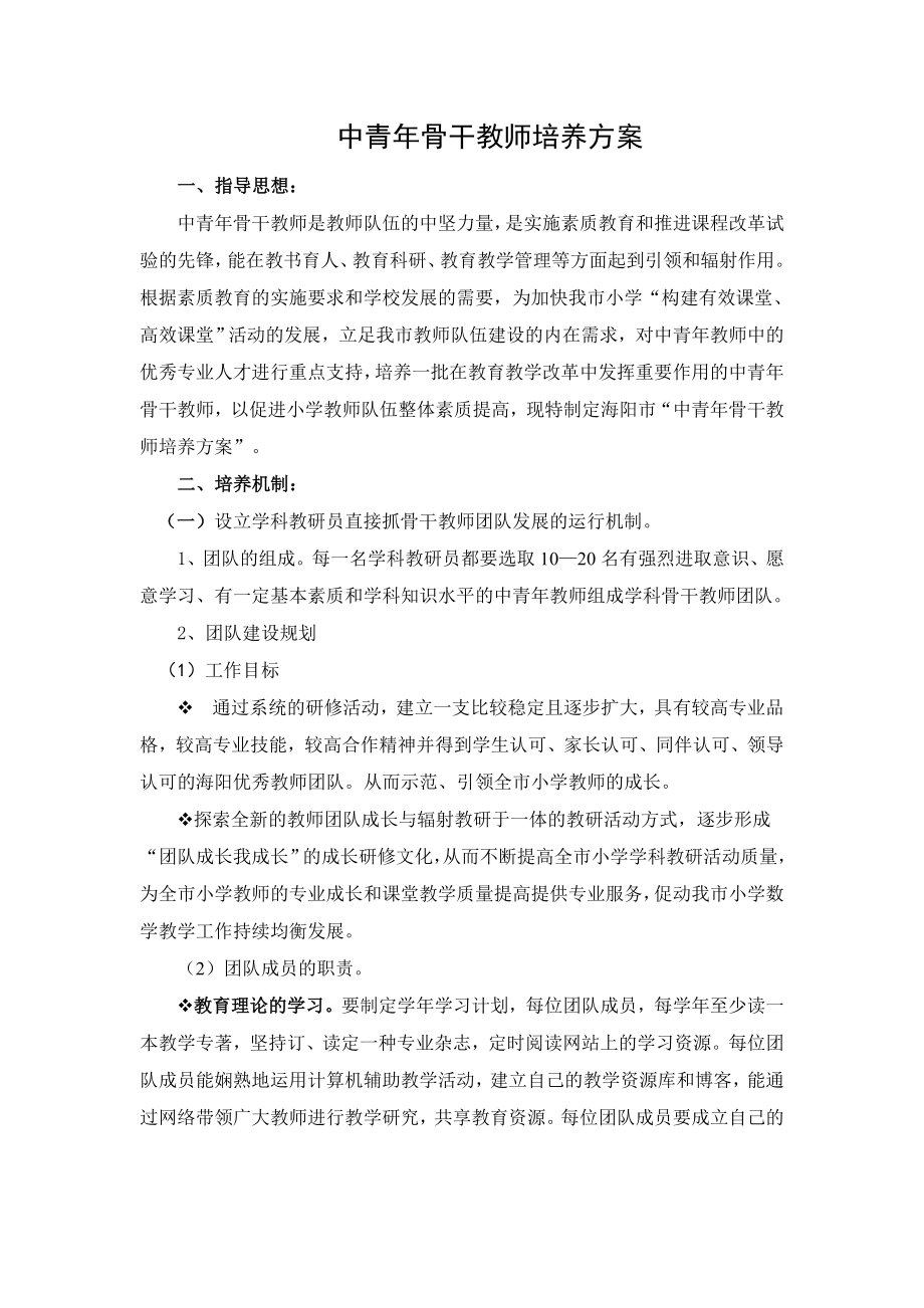 中青年骨干教师培养方案_第1页