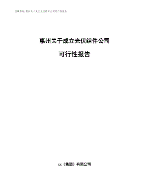 惠州关于成立光伏组件公司可行性报告_参考范文