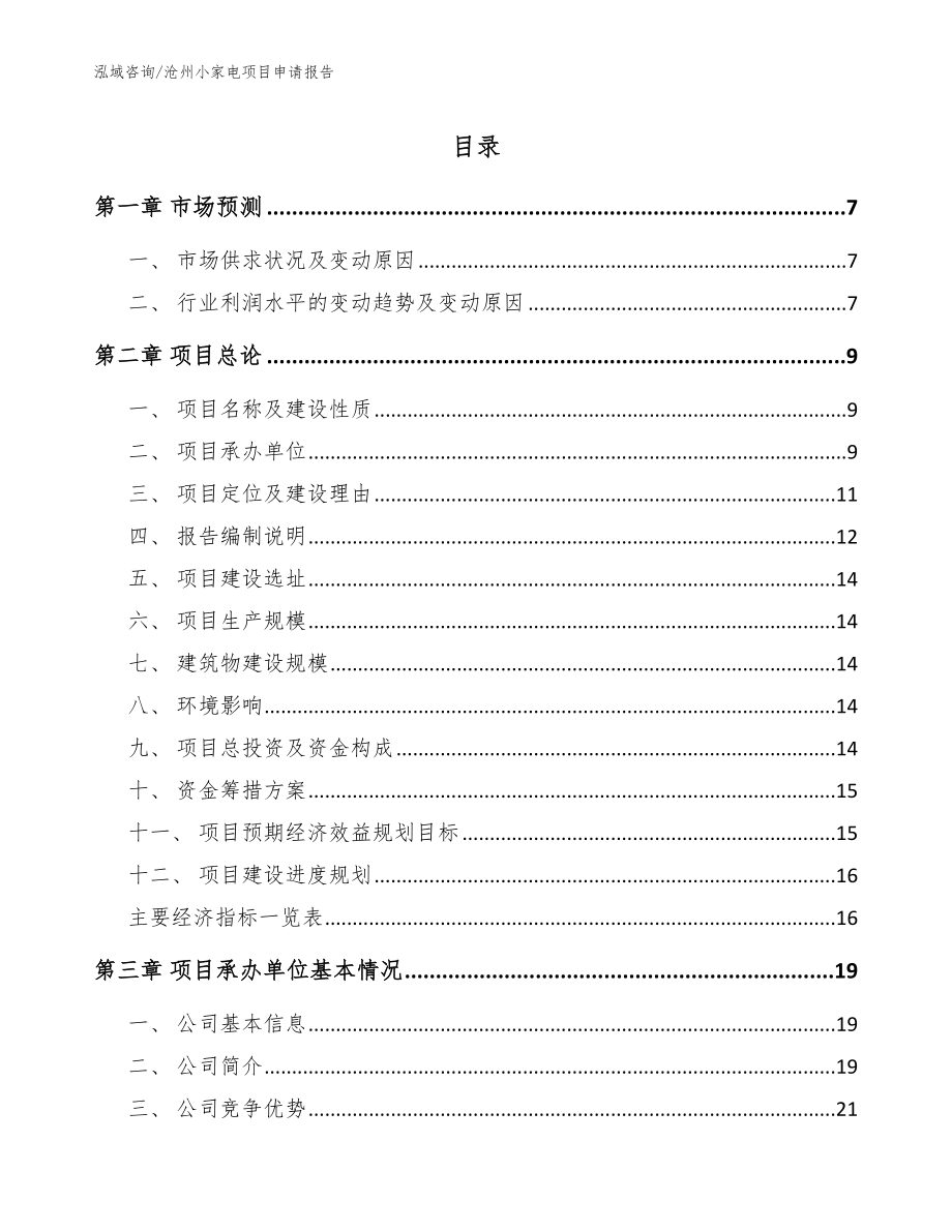 沧州小家电项目申请报告【模板】_第1页